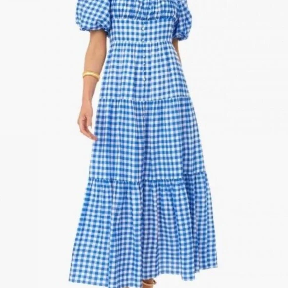 Tuckernuck Blue and White Gingham Maxi Dress - Picture 6 of 6